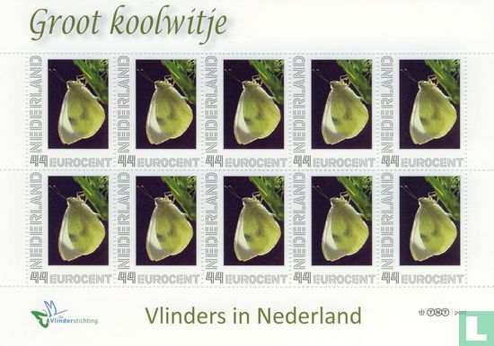 Butterflies in the Netherlands - Groot Koolwitje - Image 1