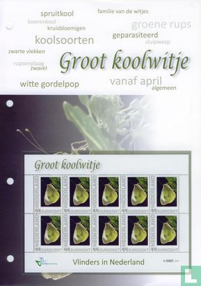 Butterflies in the Netherlands - Groot Koolwitje - Image 2