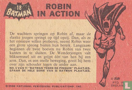 Robin in action - Afbeelding 2
