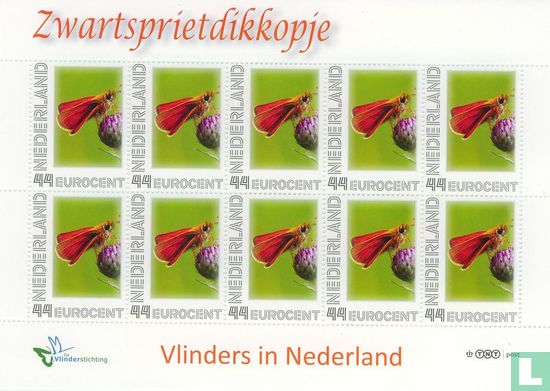 Butterflies in the Netherlands - Zwartspritkopje - Image 1