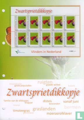 Butterflies in the Netherlands - Zwartspritkopje - Image 2