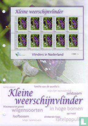 Butterflies in the Netherlands - Kleine Weerschijnvlinder - Image 2
