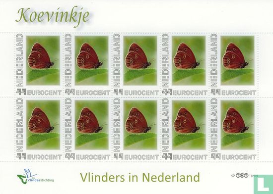 Butterflies in the Netherlands - Koevinkje - Image 1