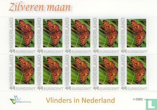 Butterflies in the Netherlands - Silver Moon - Image 1