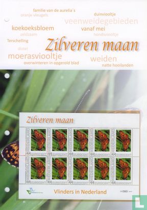 Butterflies in the Netherlands - Silver Moon - Image 2