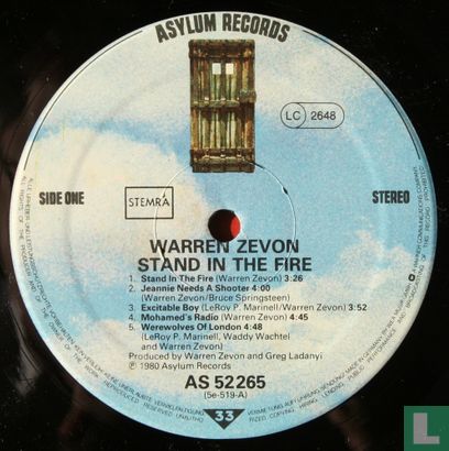 Stand in the Fire - Image 3