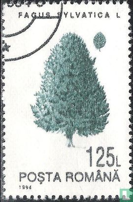 Bomen - Afbeelding 1