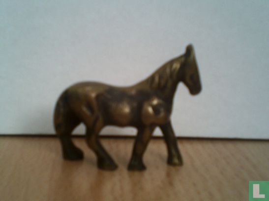 Paard