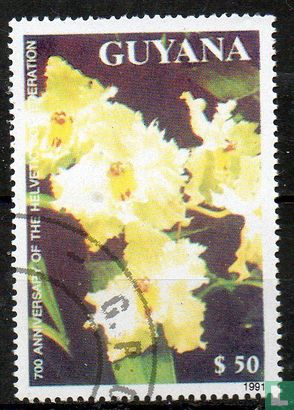 Bloemen - Orchideeën