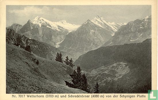 Nr. 7017 Wetterhorn (3703 m) und Schreckhörner (4080 m) von der Schynigen Platte