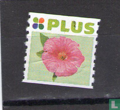 Plus Beetpflanzen Stempel (Blumen)