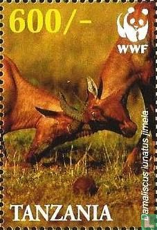 WWF - Topi-Leierantilope 