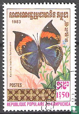Papillon Kallima inachus formosana