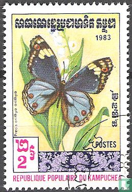 Papillon Precis orithya orithya