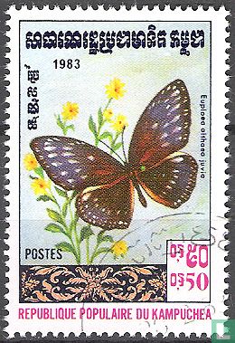 Papillon Euploea althaea juvia