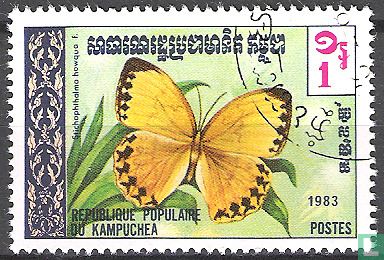 Schmetterling Stichophthalma howqua f.