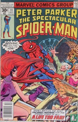Spectacular Spider-man  - Bild 1