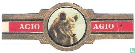 [Brown Bear] - Image 1