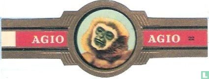 [Gibbon] - Bild 1