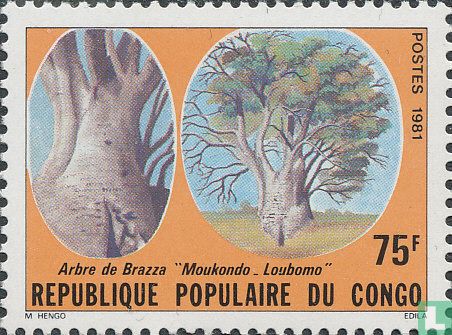 De boom van Brazza