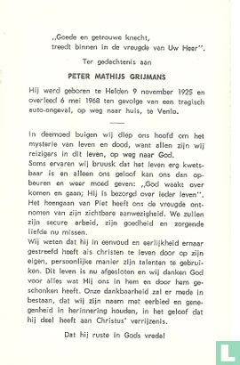 Grijmans, Peter Mathijs   - Afbeelding 2