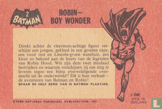 Robin - boy wonder - Image 2