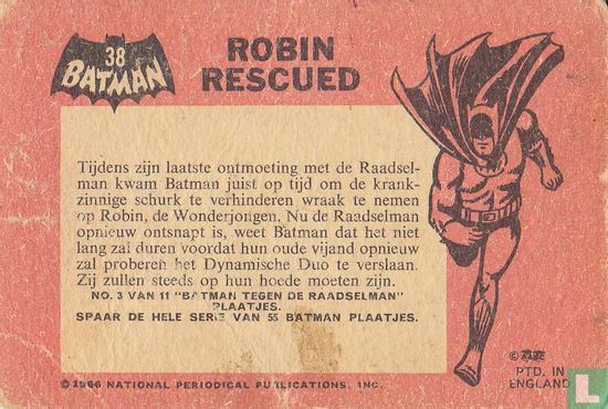 Robin rescued - Afbeelding 2