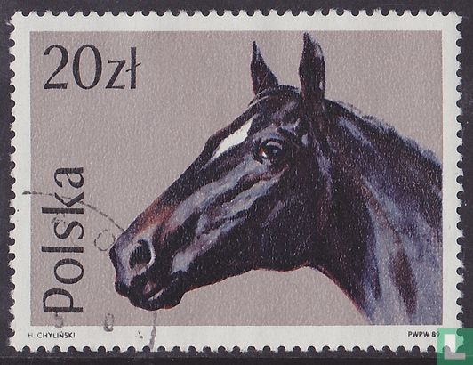Paarden