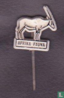 Afrika fauna (antilope)