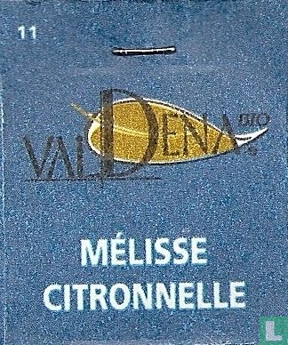 Mélisse-Citronnelle - Image 3