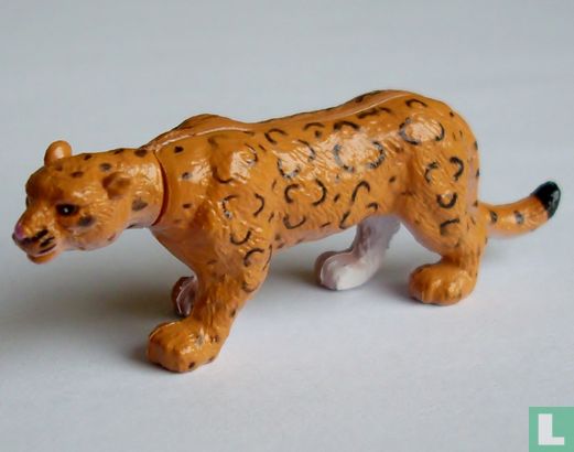 Leopard 'Felina' - Image 1