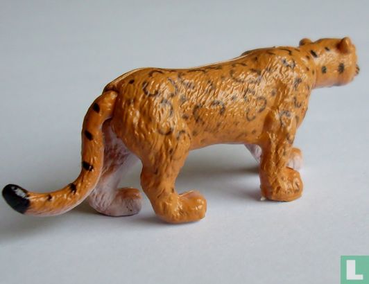 Leopard 'Felina' - Image 2