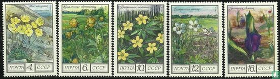 Blumen