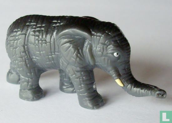 Elefant - Bild 1