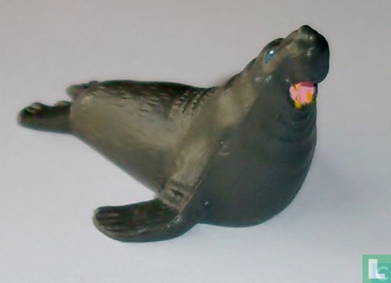 Elephant Seal - Image 1