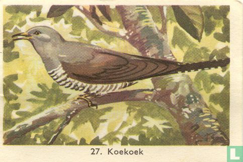 Koekoek - Image 1