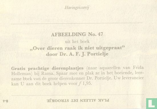 Haringvisserij - Image 2