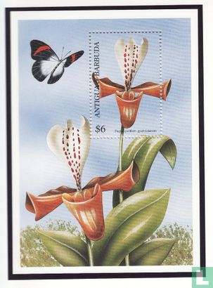 Orchidées