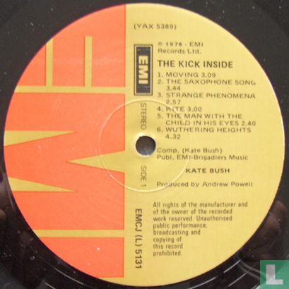 The Kick Inside - Image 3