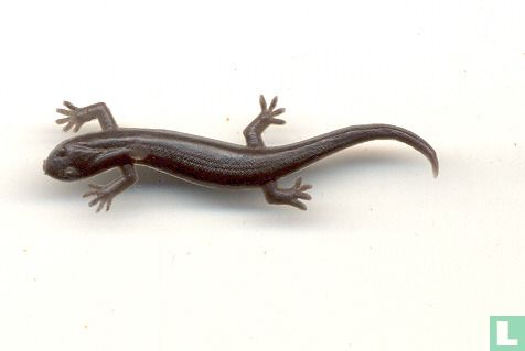 Lizard