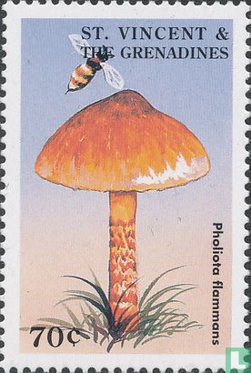 Paddenstoelen    