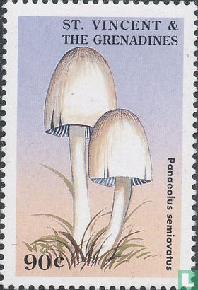 Mushrooms    