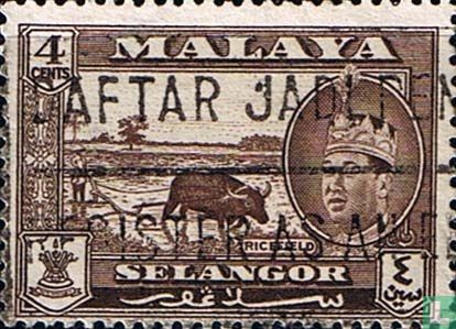 Sultan Abdul Aziz met landsmotieven
