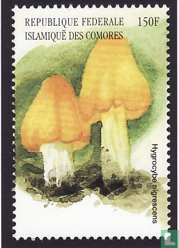  European mushrooms      