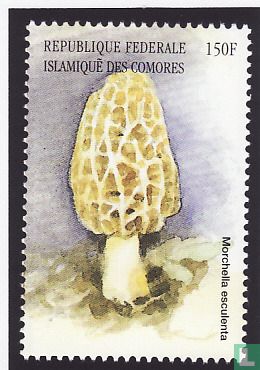  Europese paddenstoelen  