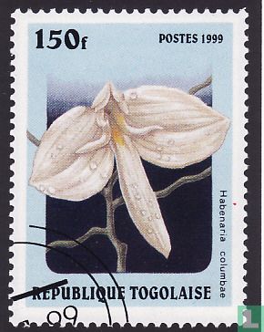 Orchideen