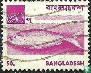 Images of Bangladesh