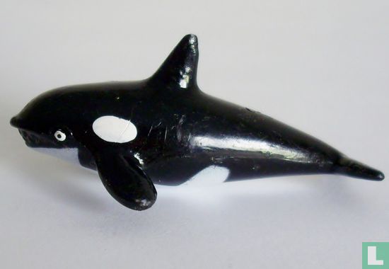 Killer Whale - Image 1