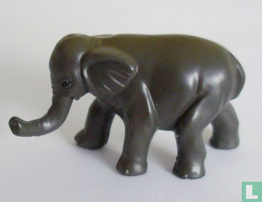 Asiatischer Elefant - Bild 1