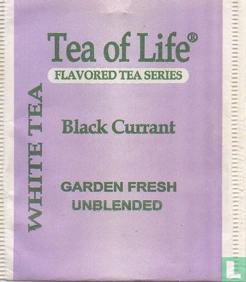 White Tea Black Currant - Bild 1